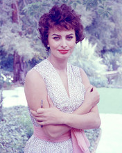 This is an image of 274394 Sophia Loren Photograph & Poster