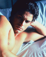 This is an image of 274409 Rob Lowe Photograph & Poster