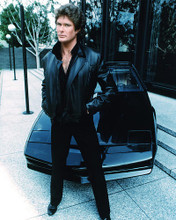 This is an image of 274587 David Hasselhoff Photograph & Poster