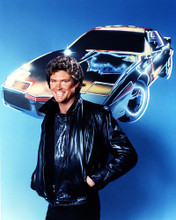 This is an image of 274593 David Hasselhoff Photograph & Poster