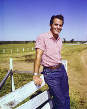 This is an image of 274860 Pat Boone Photograph & Poster