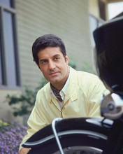 This is an image of 274909 Peter Lupus Photograph & Poster