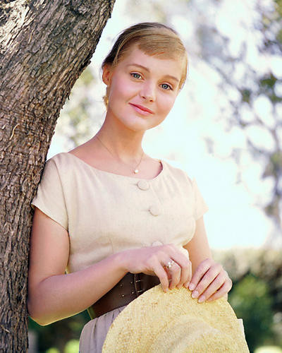 This is an image of 274910 Carol Lynley Photograph & Poster