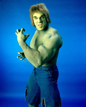 This is an image of 275747 Lou Ferrigno Photograph & Poster