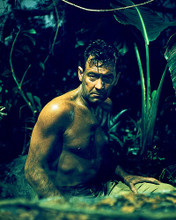 This is an image of 276034 William Holden Photograph & Poster