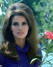 This is an image of 276079 Raquel Welch Photograph & Poster