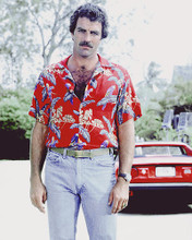 This is an image of 277103 Tom Selleck Photograph & Poster