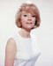 This is an image of 277107 Inger Stevens Photograph & Poster