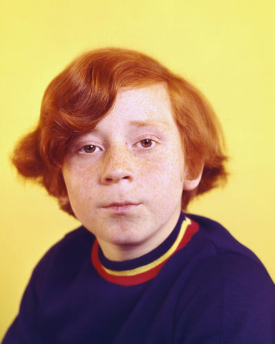 This is an image of 277227 Danny Bonaduce Photograph & Poster