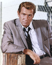 This is an image of 277273 Darren McGavin Photograph & Poster