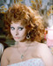 This is an image of 277895 Sophia Loren Photograph & Poster