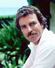 This is an image of 277960 Tom Selleck Photograph & Poster
