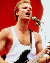 This is an image of 278111 Sting Photograph & Poster