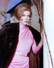 This is an image of 278215 Barbara Bain Photograph & Poster
