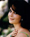 This is an image of 280008 Natalie Wood Photograph & Poster