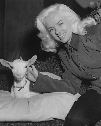 This is an image of 189000 Diana Dors Photograph & Poster