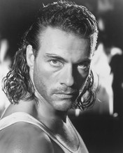 This is an image of 189072 Jean-Claude Van Damme Photograph & Poster