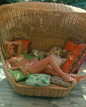 This is an image of 278420 Barbara Bouchet Photograph & Poster