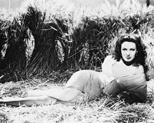 This is an image of 167962 Linda Darnell Photograph & Poster
