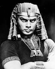 This is an image of 171708 Yul Brynner Photograph & Poster
