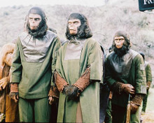 This is an image of 213090 Planet of the Apes Photograph & Poster
