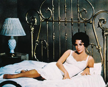 This is an image of 231162 Elizabeth Taylor Photograph & Poster