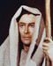 This is an image of 233485 Peter O'Toole Photograph & Poster