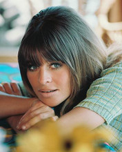 This is an image of 235845 Julie Christie Photograph & Poster
