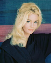 This is an image of 236068 Tuesday Weld Photograph & Poster