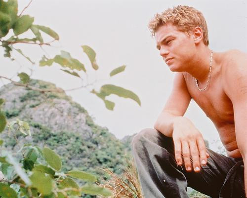 This is an image of 237538 Leonardo Dicaprio Photograph & Poster