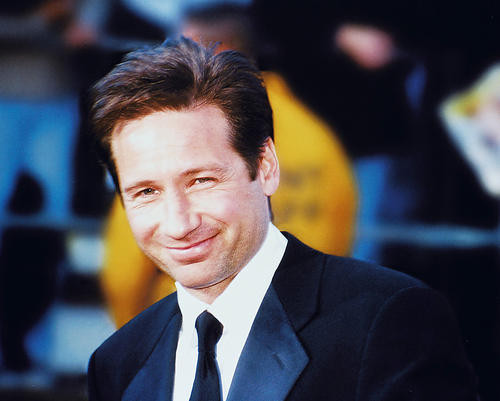This is an image of 240428 David Duchovny Photograph & Poster