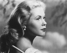 This is an image of 175510 Elizabeth Montgomery Photograph & Poster