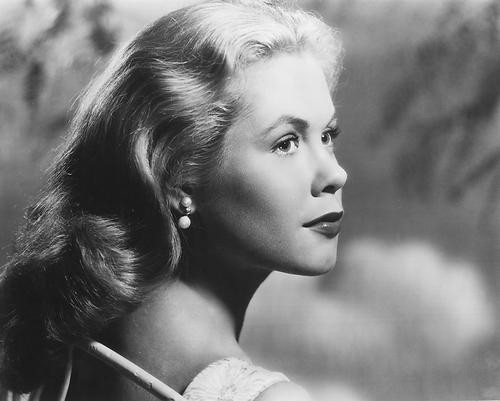 This is an image of 175510 Elizabeth Montgomery Photograph & Poster