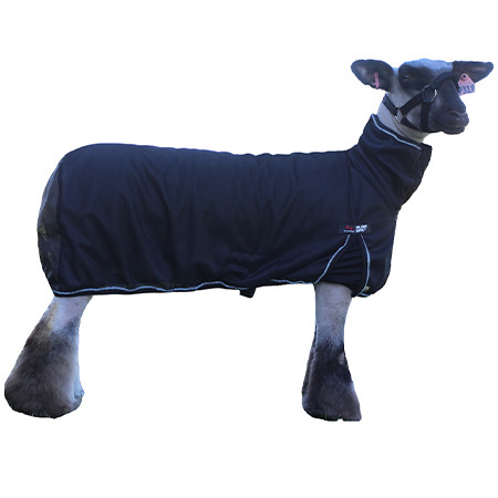 Prairie View Ag Supply | Sullivan's Sheep COOL Coat