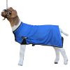 Sullivan's Cool Tech Goat Blanket