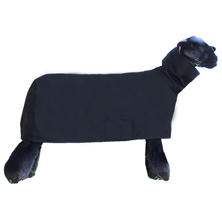 Prairie View Ag Supply | Sullivan's Sheep COOL Coat