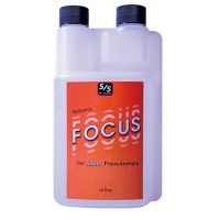 Sullivan's Focus