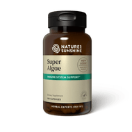 Hit No More! / NS Super Algae