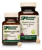 No More Remembering / SP RNA (90)