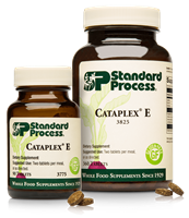 Well Being / SP Cataplex E2 (90) Tablets