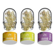 URB | THCO Caviar Flower | 7G
