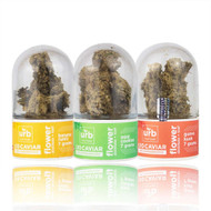 Urb | Delta 10 THC Caviar Flower | 7g