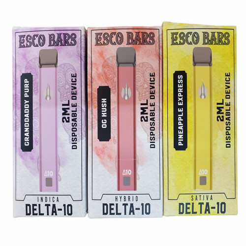 Esco Bars 2g Delta 10 Disposable with Preheat Function | 2000mg ...