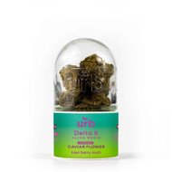 URB Delta 8 THC INDOOR Caviar Flower *7 Gram Jar*