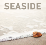 GAR Seaside Collection Shell on beach