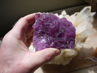 Purple Fluorite (1463482543)