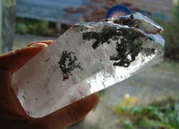Epidote in quartz (1260971830)