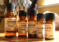 Cinnamon (Leaf), Pure Essential Oil (9321)