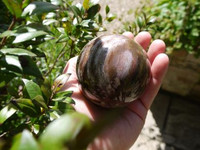 Petrified Wood sphere (1399907339)