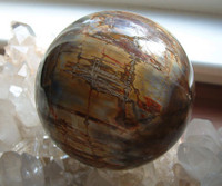 Petrified Wood Sphere (8175)